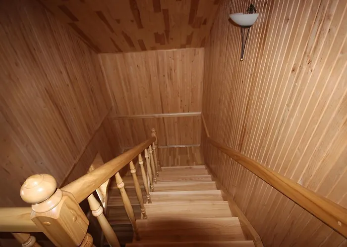 Medziotoju 9 בית הארחה